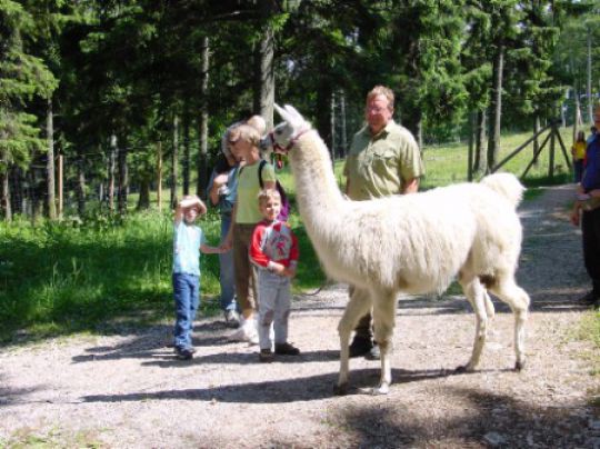 Naturpark_Hohe_Wand.JPG