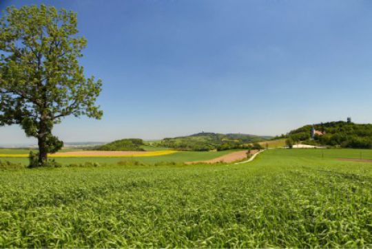 c_Naturpark_Leiserberge_Blick_auf_Oberleis