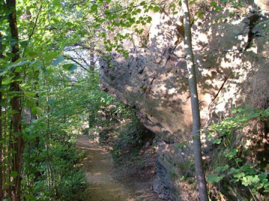 3.wegimnaturparkcnaturparkdobersberg.JPG
