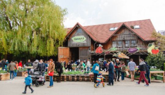 Bild vergrößern Adamah_Jungpflanzenfest_2017_c_Xenia_Trampusch