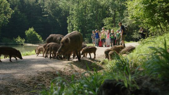 naturpark_sparbach_c_naturpark_sparbach