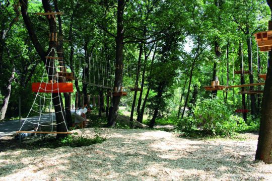 r1_nr10_kletterpark_tattendorf_2019_copy_kletterverein_tattendorf