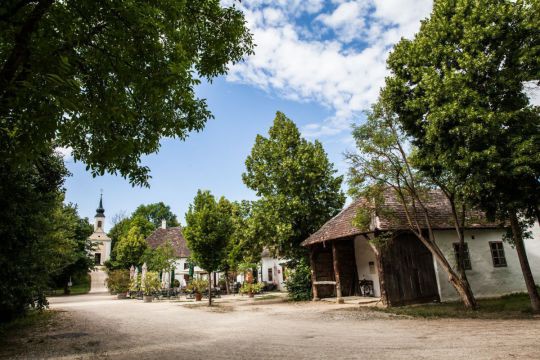 museumsdorf-niedersulz_copy_nadja-meister_img_8690