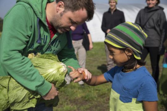 Bild vergrößern Biohof_ADAMAH_Exkursion_Salat_Kind_Fotorecht_Pia_Homeister
