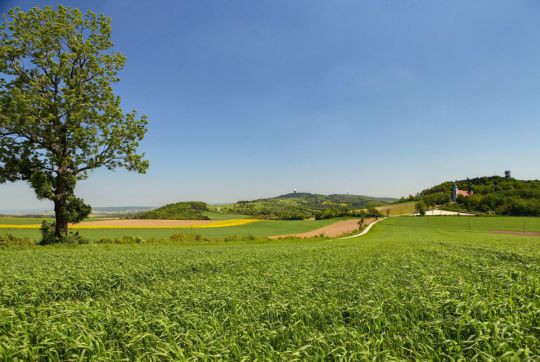 r2_nr11_c_naturpark_leiserberge_blick_auf_oberleis