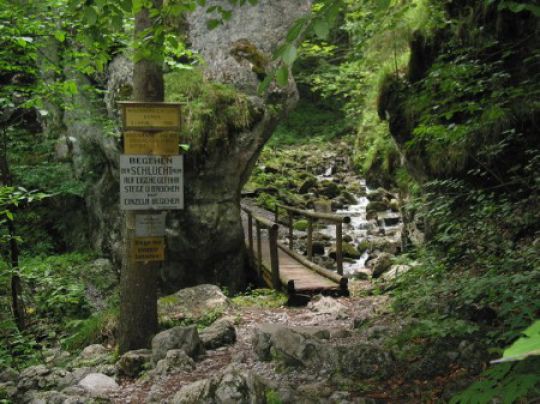 Falkenschlucht